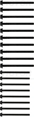 Cylinder Head Bolt Set
